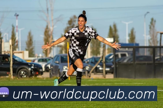 亚洲体育博彩平台平台生态图